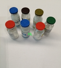 中国 注入の 0.5g/1.0g 抗生のための Cefazolin ナトリウムの粉薬剤 サプライヤー