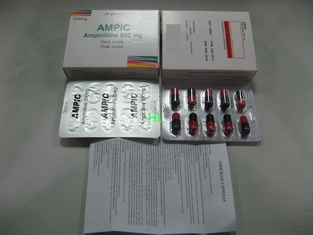 中国 Ampicillin は 250MG 500MG BP/USP のペニシリンの薬を要約します サプライヤー